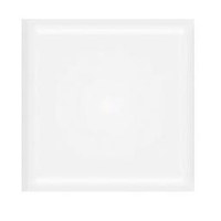 Elinchrom Frosted Security Fil Picture