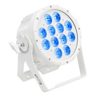 Elation SIXPAR 200WMG 12x 12W  Picture