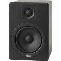 ESI aktiv 05 5" 60W 2-Way Acti Picture