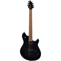 EVH Wolfgang WG Standard T.O.M Picture