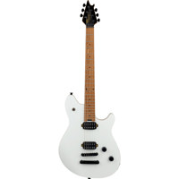EVH Wolfgang WG Standard T.O.M Picture