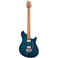EVH Wolfgang Special QM Electr Picture