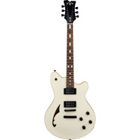 EVH SA 126 Standard Electric G Picture