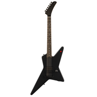 EVH Star Limited Edition TOM E Picture