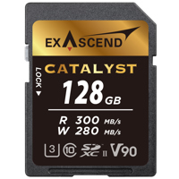Exascend Catalyst 128GB UHS-II Picture