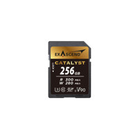 Exascend Essential 256GB UHS-I Picture
