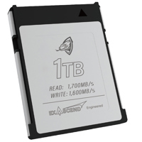 Exascend Archon 1TB CFexpress  Picture