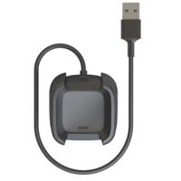 Fitbit Versa Charging Cable Picture