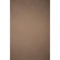 Gravity Backdrops Hand Painted Picture