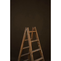 Gravity Backdrops Hand Painted Picture