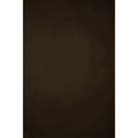 Gravity Backdrops Hand Painted Picture