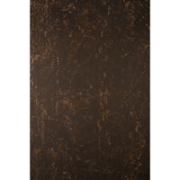 Gravity Backdrops Hand Painted Picture