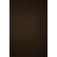 Gravity Backdrops Hand Painted Picture