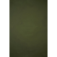 Gravity Backdrops Hand Painted Picture