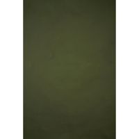 Gravity Backdrops Hand Painted Picture