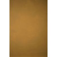 Gravity Backdrops Hand Painted Picture