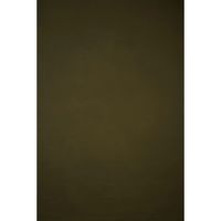 Gravity Backdrops Hand Painted Picture