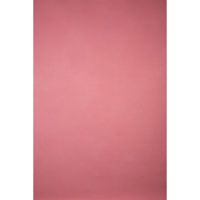 Gravity Backdrops Hand Painted Picture