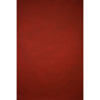 Gravity Backdrops Hand Painted Picture