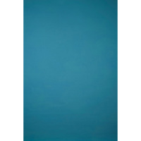 Gravity Backdrops Hand Painted Picture