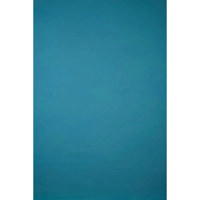 Gravity Backdrops Hand Painted Picture