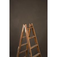 Gravity Backdrops Hand Painted Picture