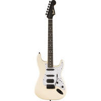 Fender Limited Edition Player  Picture