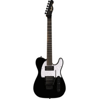 Fender Limited Edition Player  Picture
