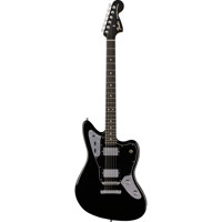 Fender Limited Edition Player  Picture