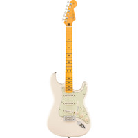 Fender Limited Edition America Picture