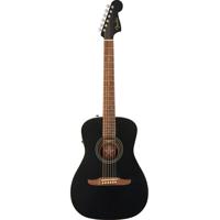 Fender Joe Strummer Campfire E Picture