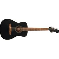 Fender Joe Strummer Campfire E Picture