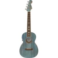 Fender Dhani Harrison Ukulele, Picture