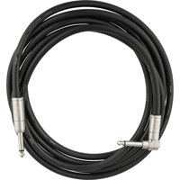 Fender Professional Series 10' Picture