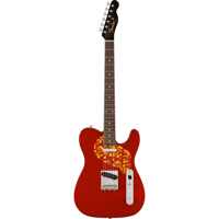 Fender Limited Edition Raphael Picture