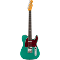 Fender Artist Series Susan Ted Picture