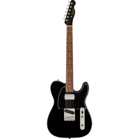 Fender Limited Edition Classic Picture