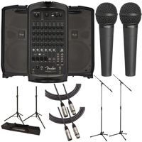 Fender Passport Venue Series 2 Picture