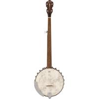 Fender PB-180E Banjo with Gig  Picture