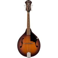 Fender PM-180E 8-String Mandol Picture