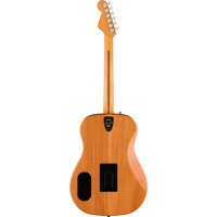 Fender Highway Series Dreadnou Picture