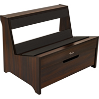 Fender Gear Furniture Series D Picture