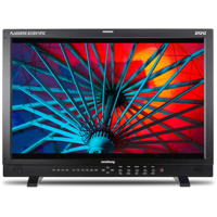 Flanders Scientific DM242 24"  Picture