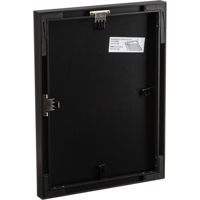 Framatic Fineline 18x24" Alumi Picture