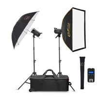 Flashpoint Studio 300 II-V 300 Picture