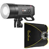 Flashpoint XPLOR 400 Pro II R2 Picture