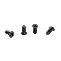 Replacement Screws for Flashpoint Streaklight (set of 4)