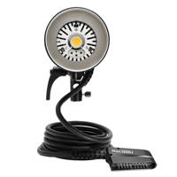 Flashpoint H1200P Flash Head f Picture
