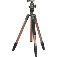 FotoPro Progear X X-Go Gecko E Picture