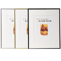 MCS Classic Aluminum 22x28" Fr Picture